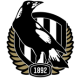 Collingwood Magpies Guernsey