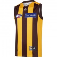 Hawthorn Hawks Mens Home Guernsey 2020