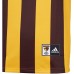 Hawthorn Hawks Mens Home Guernsey 2020