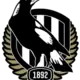 Collingwood Magpies Guernsey