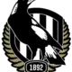 Collingwood Magpies