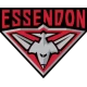 Essendon Bombers Guernsey