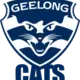 Geelong Cats Guernsey