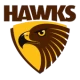 Hawthorn Hawks Guernsey