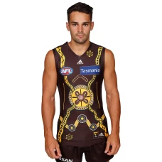 Hawthorn Hawks Mens Indigenous Guernsey 2020